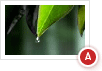 Web spot Tamburo